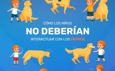 6 aspectos a tener en cuenta en la convivencia entre niños y perros.