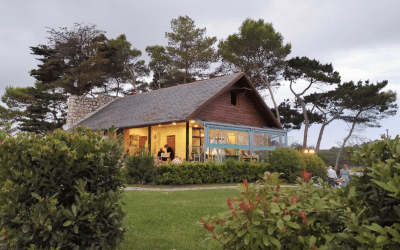 Descubre Cantabria con tu perro: 5 Restaurantes Dog-Friendly