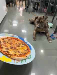 Pizzería La Fainá