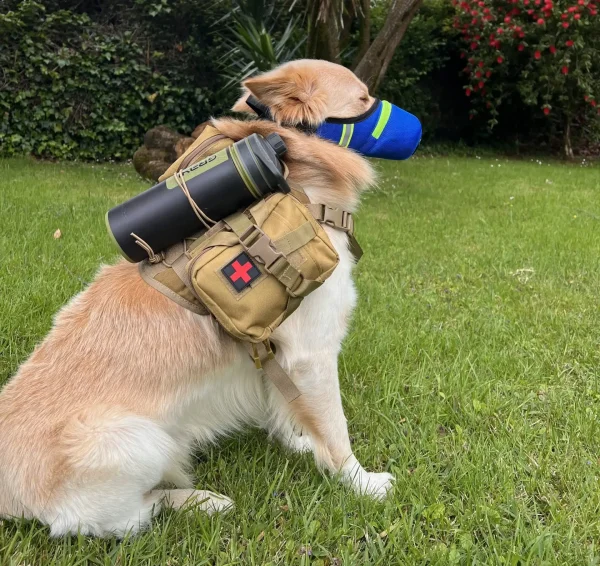 Kit de Supervivencia para Perros
