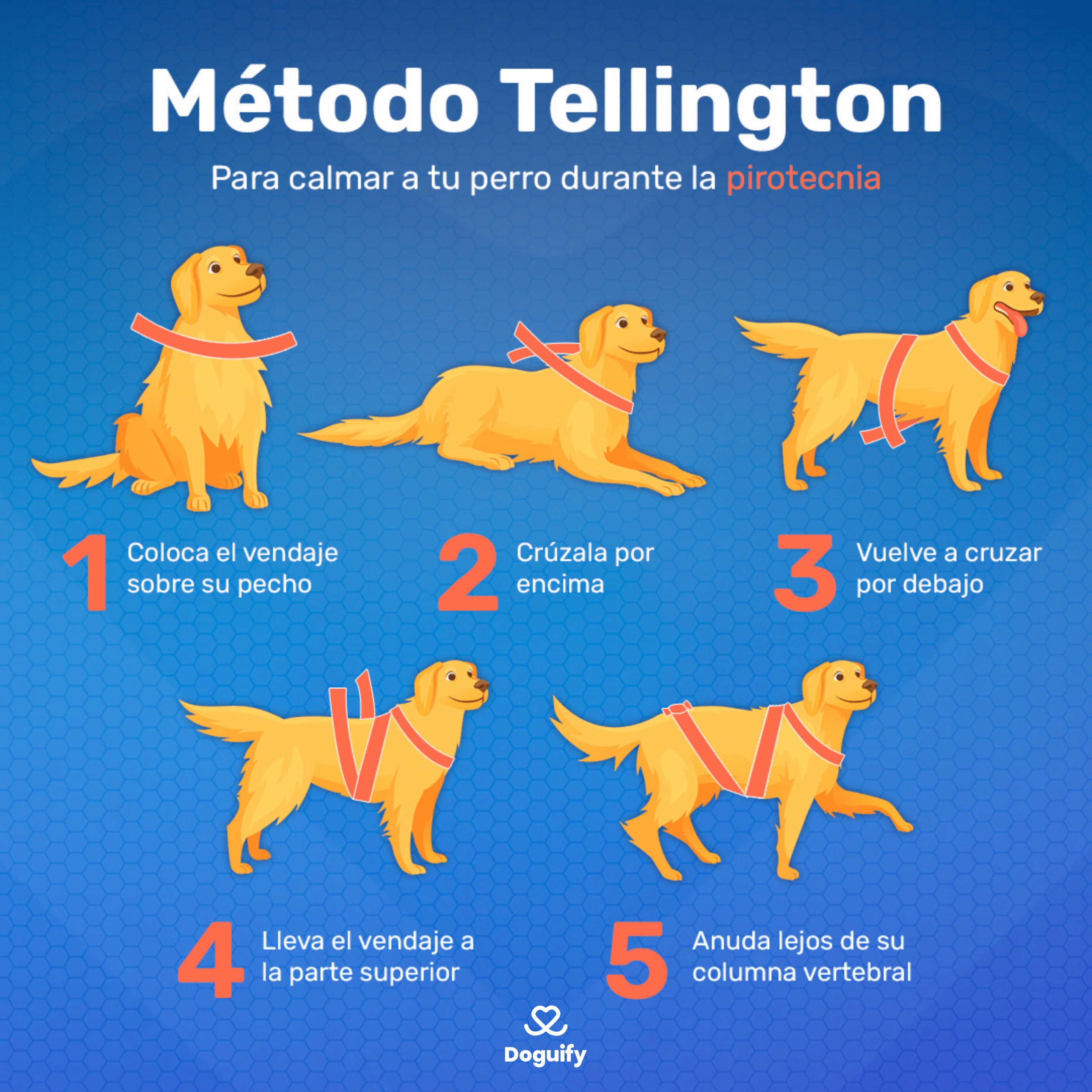 Infografía del Método Tellington Touch para perros con miedo a fuegos artificiales
