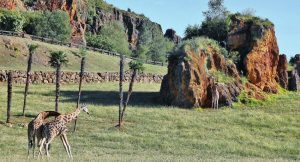 Parque de Cabárceno Cantabria - Pet-friendly