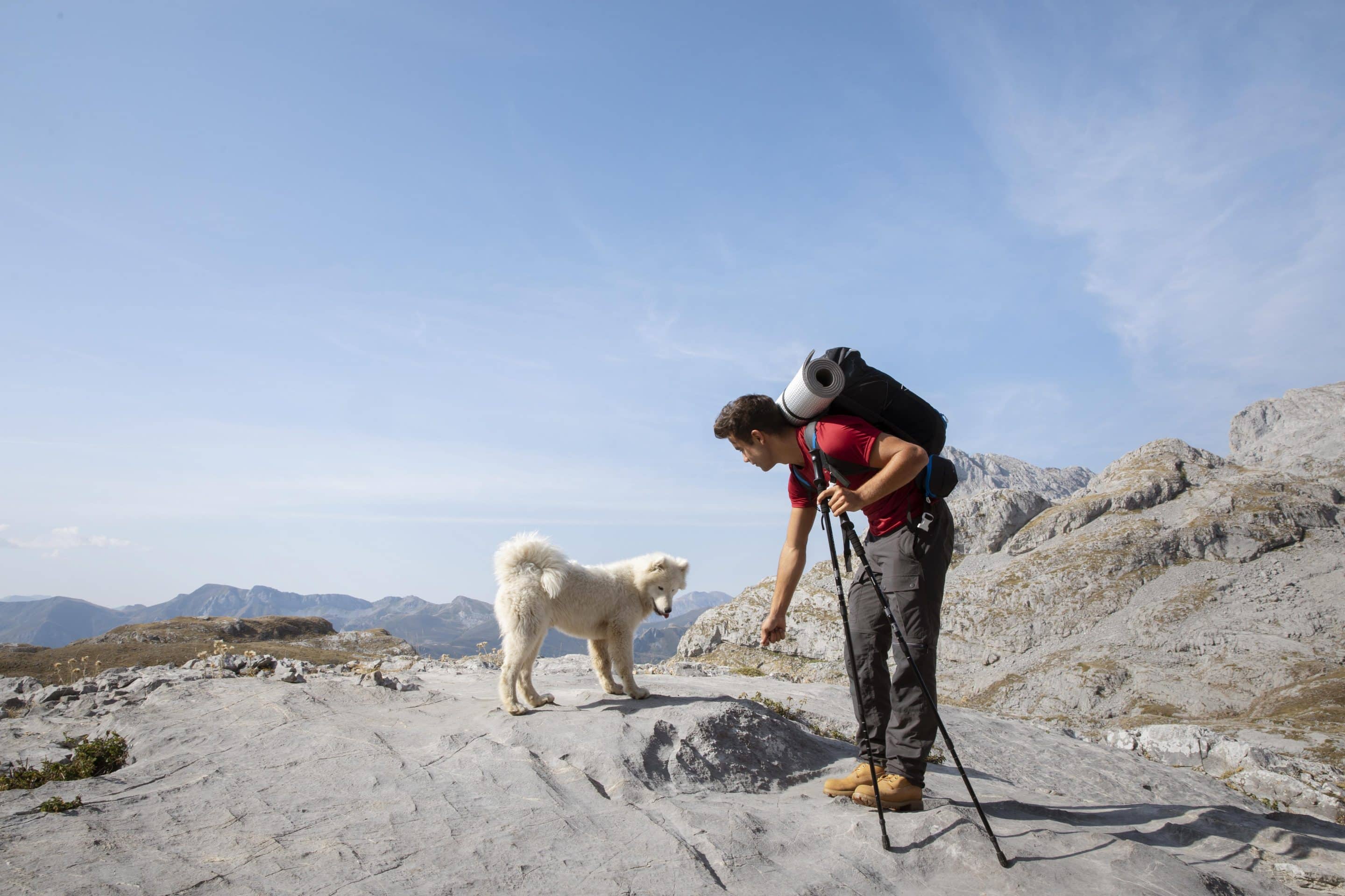 Senderista encontrando perro blanco en las montañas
