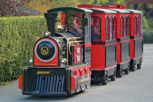 Tren de la Magdalena Santander - Actividad con perros