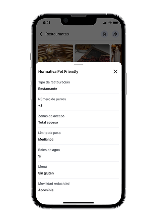 Frame 1000004564 (1)