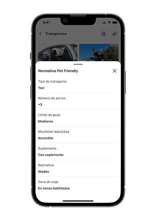 Frame 1000004564 (5)