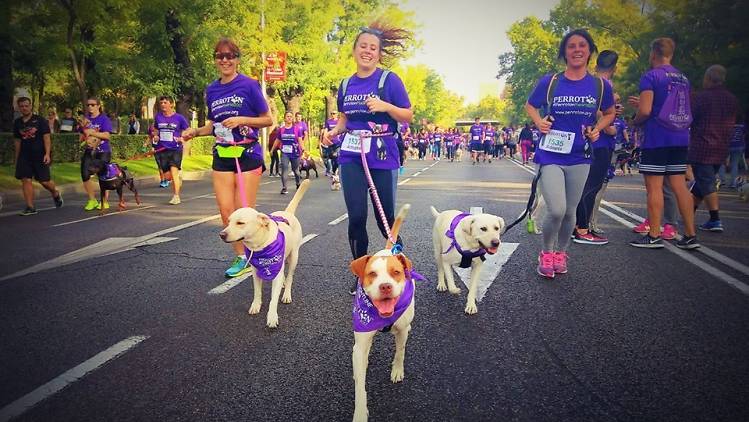 Carrera del perrotón