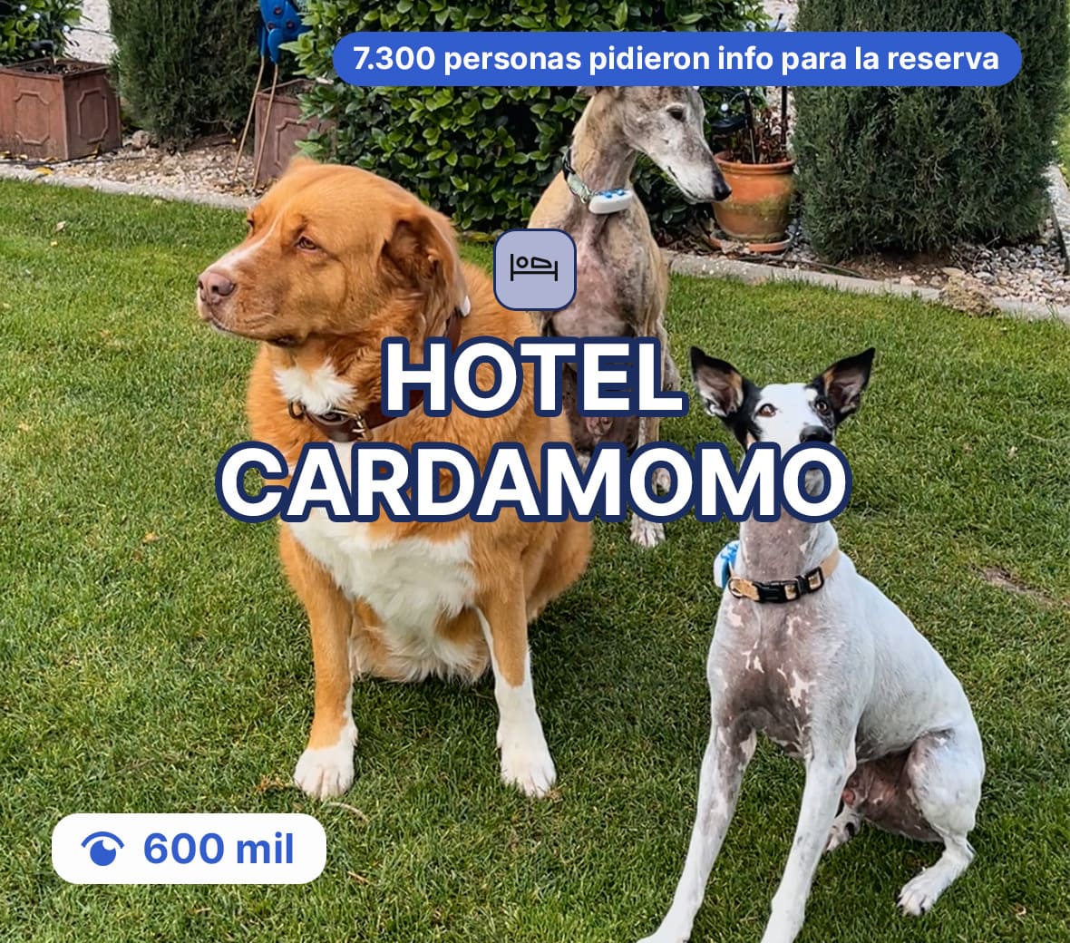 Hotel Cardamomo