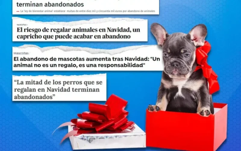 WhatsApp-Image-2024-01-04-at-12.24.15