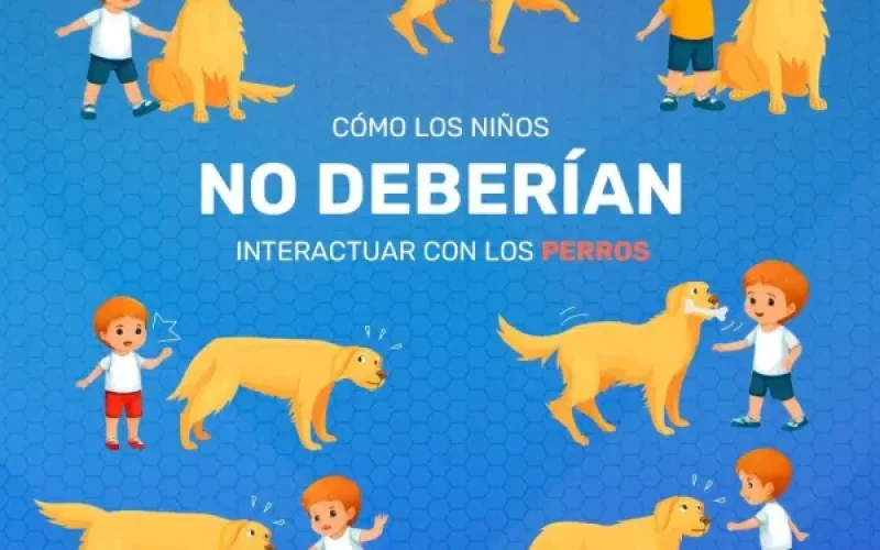 WhatsApp-Image-2024-10-01-at-17.15.36