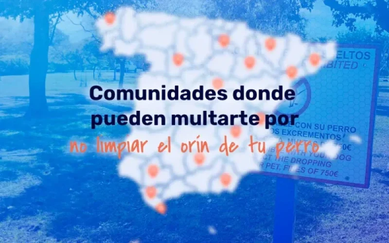 orina_linkedin