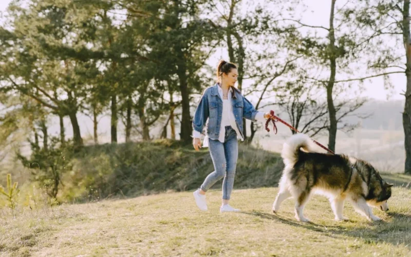 stylish-girl-sunny-field-with-dog-scaled